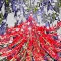 Japanese Blood Grass on Mount Fuji's Lower Slopes