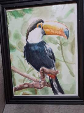 Toucan