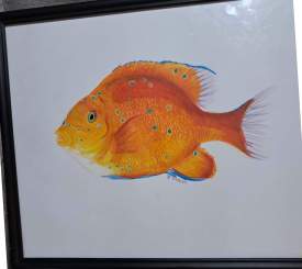 Orange Fish